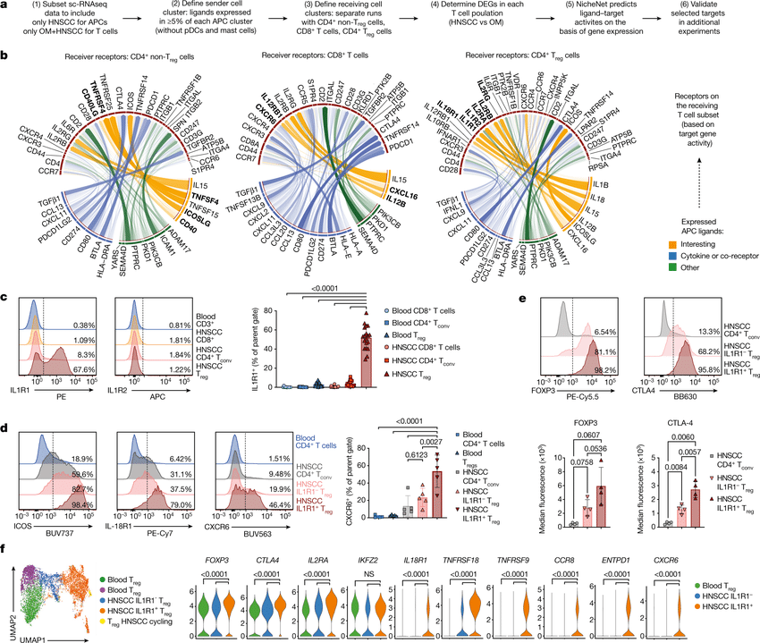 NicheNet: modeling intercellular communication by linking ligands to target genes